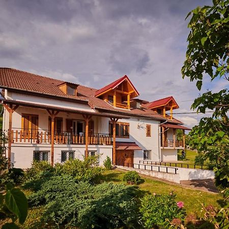 Vila Tara Hategului Hotel Екстериор снимка