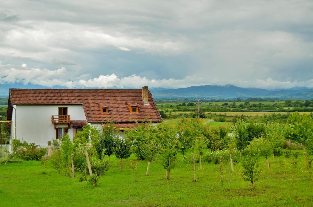 Vila Tara Hategului Hotel Екстериор снимка