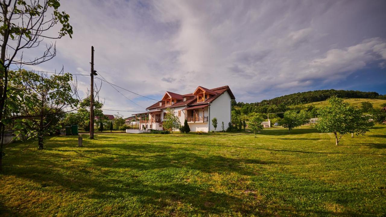 Vila Tara Hategului Екстериор снимка